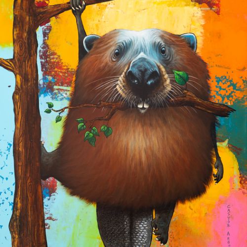Castor Arboricole - 2024 - 100x70 cm
