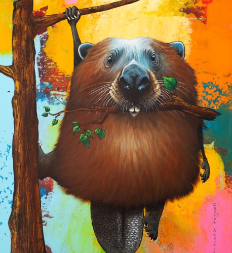 Castor Arboricole - 2024 - 100x70 cm